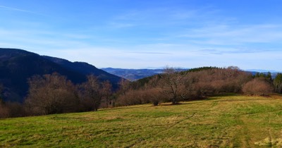  Plateau, Pfauen, Oberprechtal 