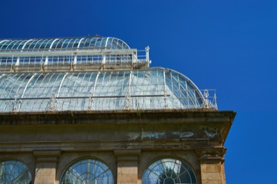  The Glass House, Botanical Gardens 
