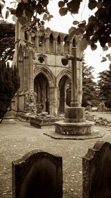  Dryburgh Abbey 