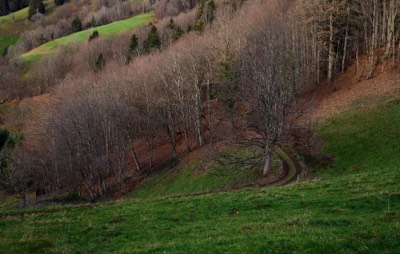  Obermünstertal in December 