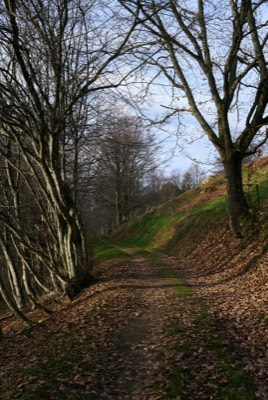  Track, Obermünstertal in December 