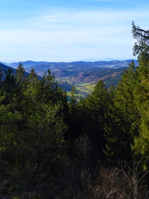  Pfauen, Oberprechtal 