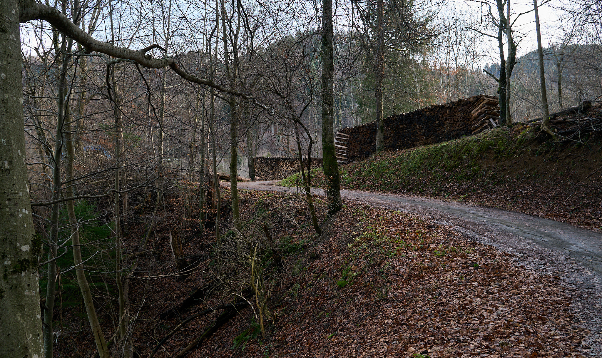  Track, Obermünstertal in December 