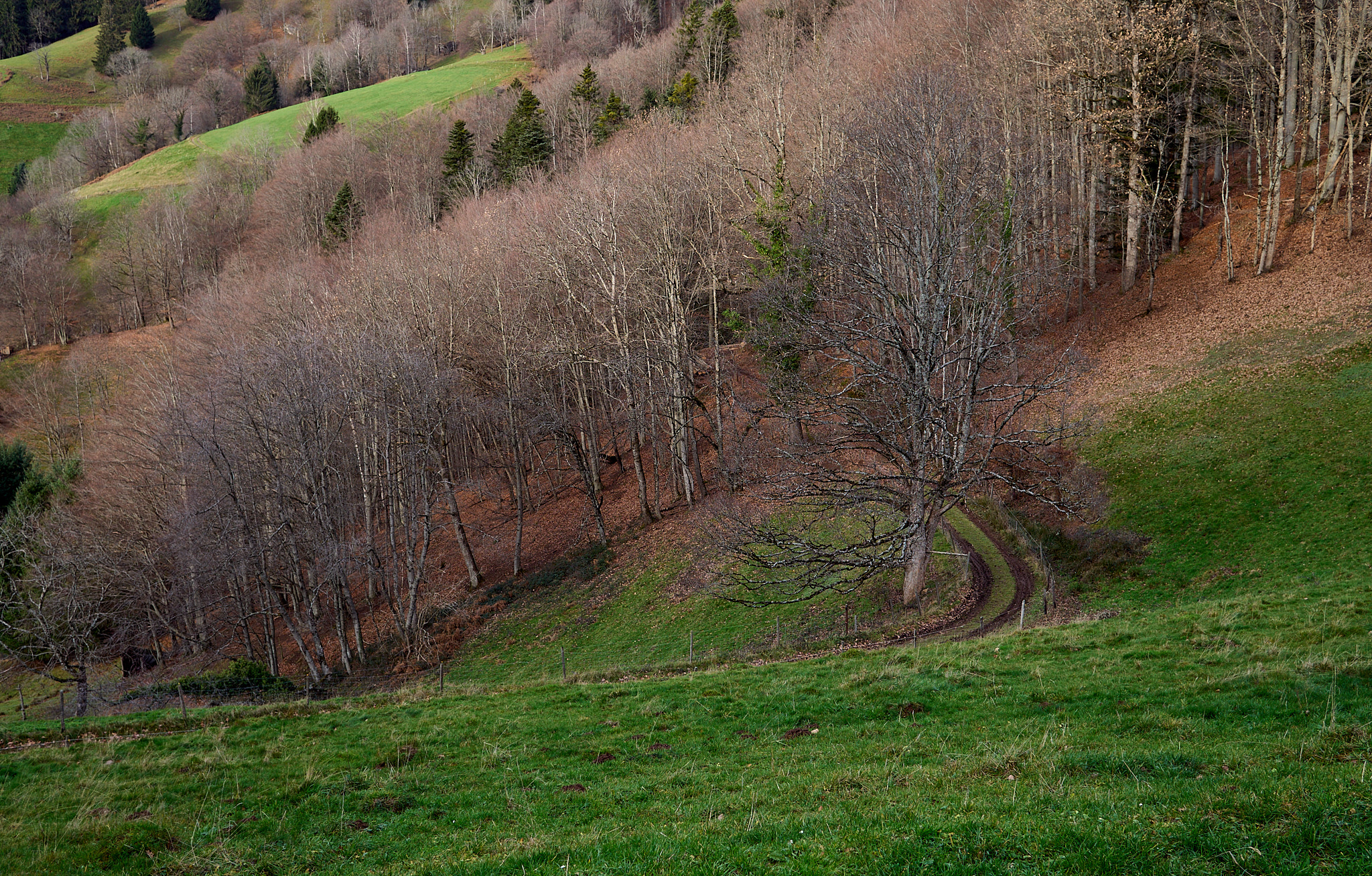  Obermünstertal in December 