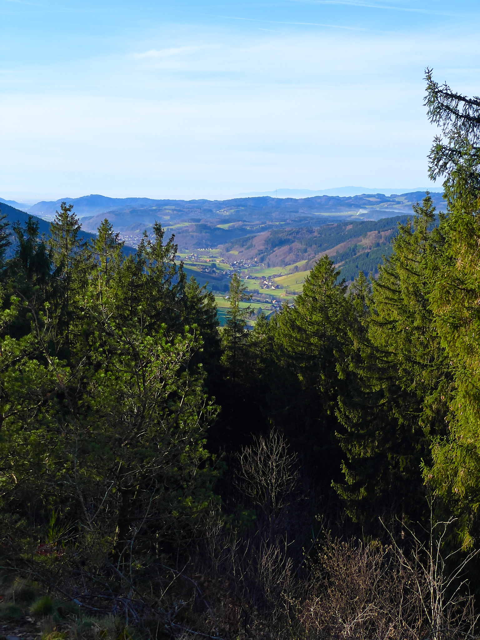  Pfauen, Oberprechtal 