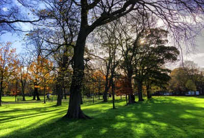  The Meadows 