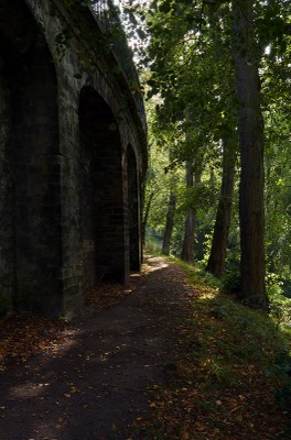 Dean Gardens 
