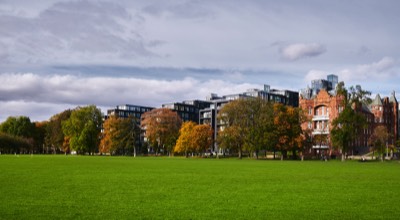  The Meadows 