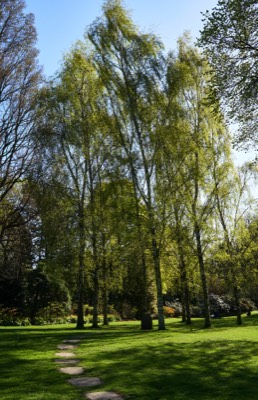  Robert Louis Stevenson Memorial, Princes Street Gardens 