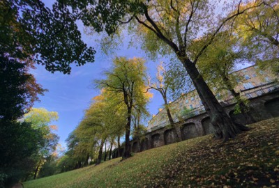  The Dene, Water of Leith 