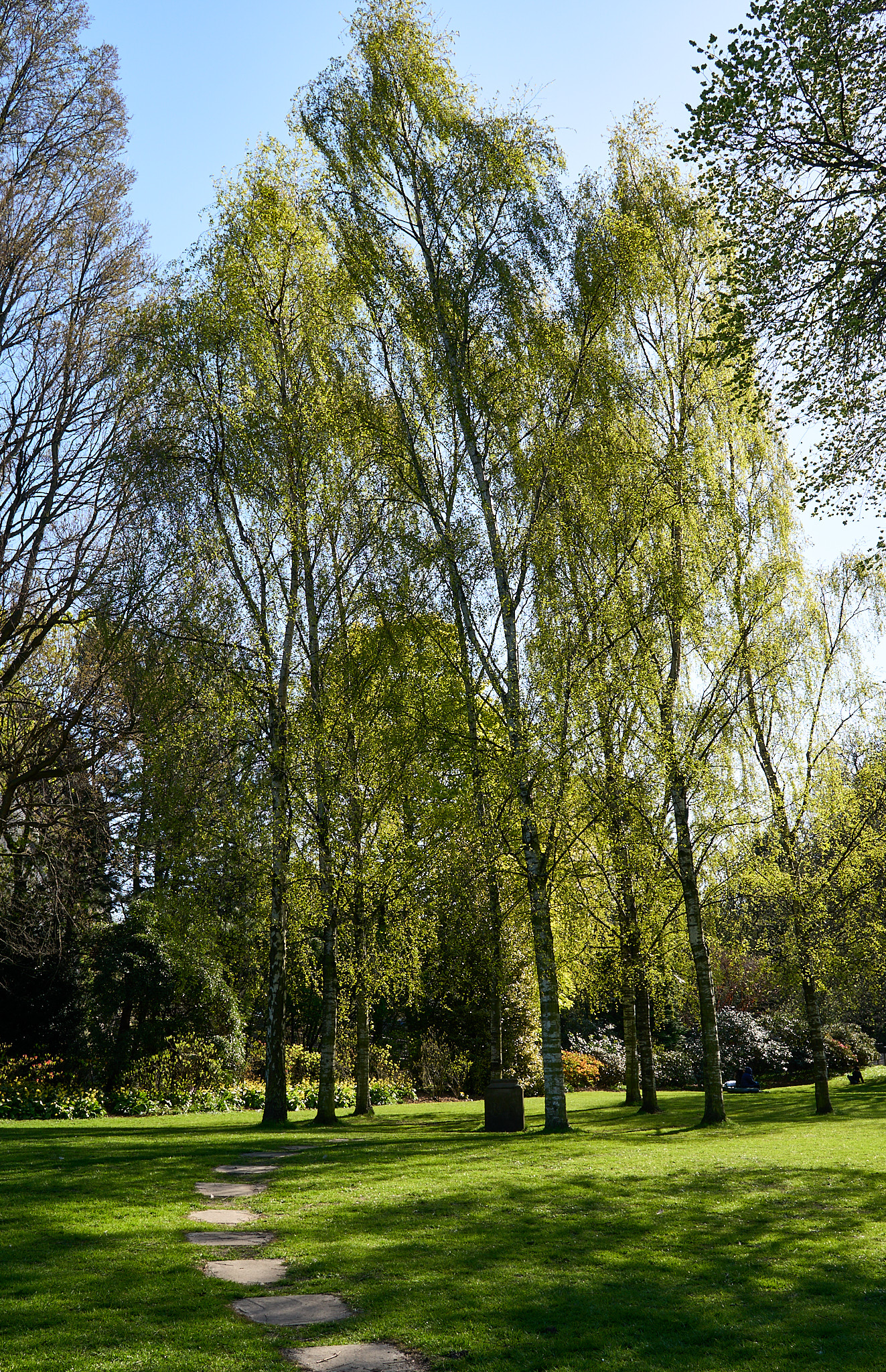  Robert Louis Stevenson Memorial, Princes Street Gardens 