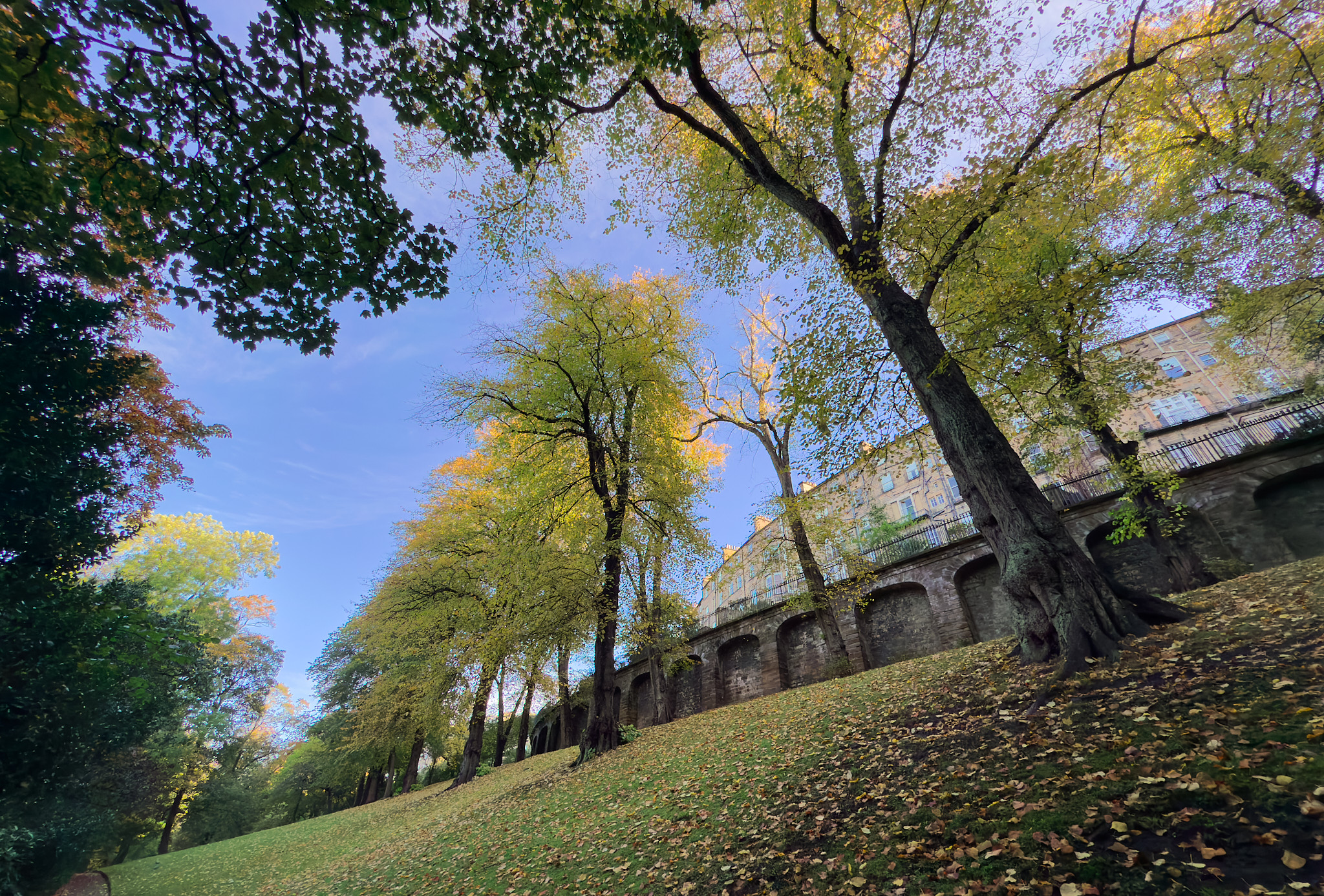  The Dene, Water of Leith 