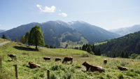 Stacks Image 7371