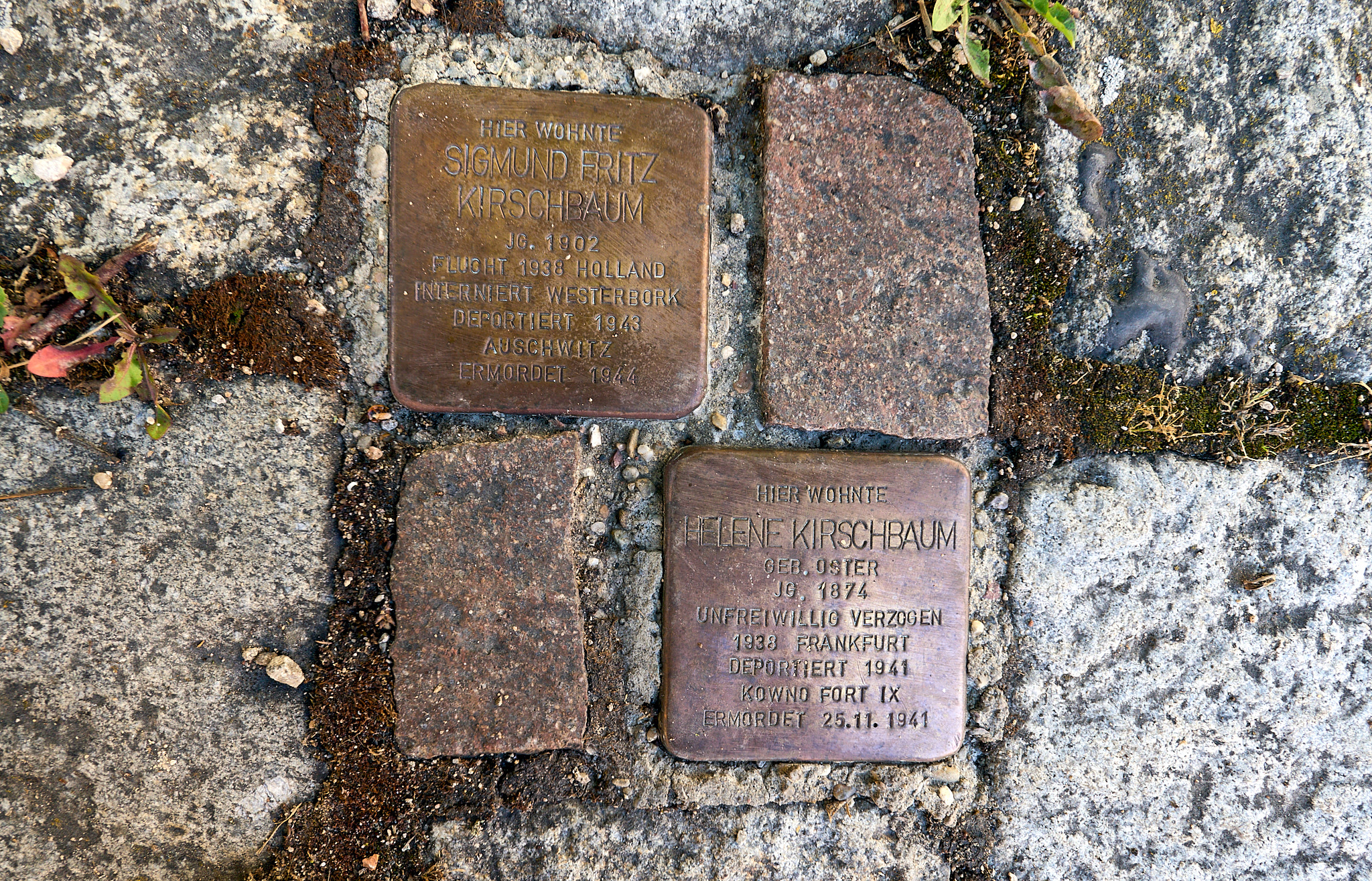  Neugasse, stumbling blocks 