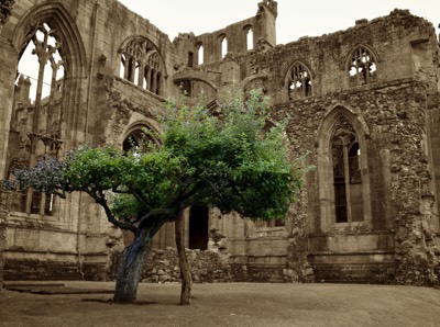  Melrose Abbey 