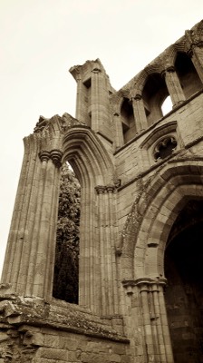  Dryburgh Abbey 