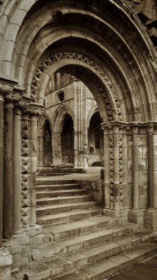  Dryburgh Abbey 