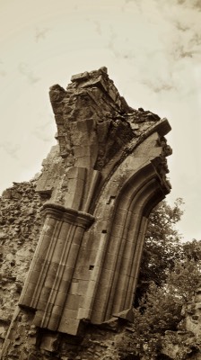  Dryburgh Abbey 