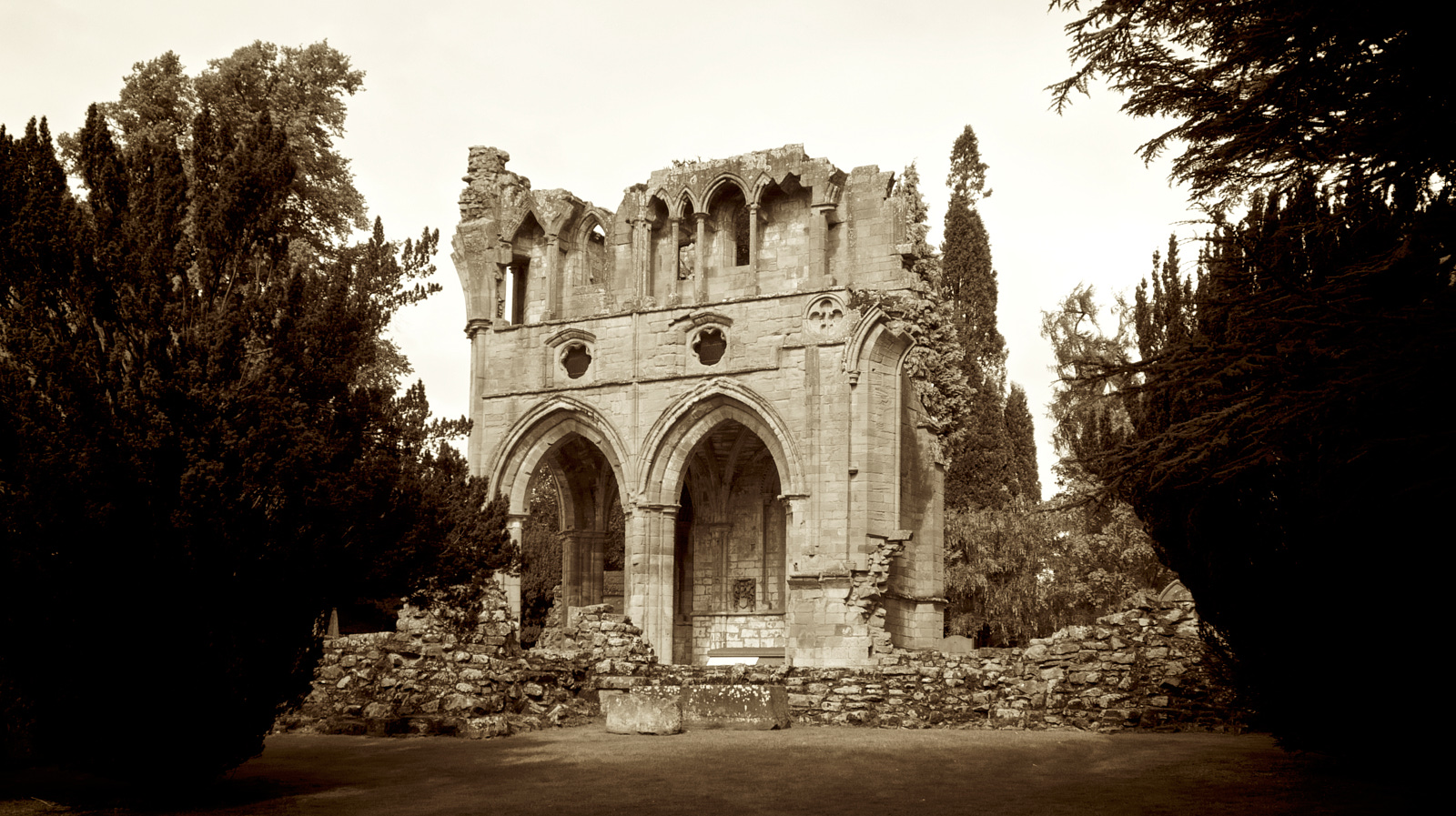 Dryburgh Abbey 