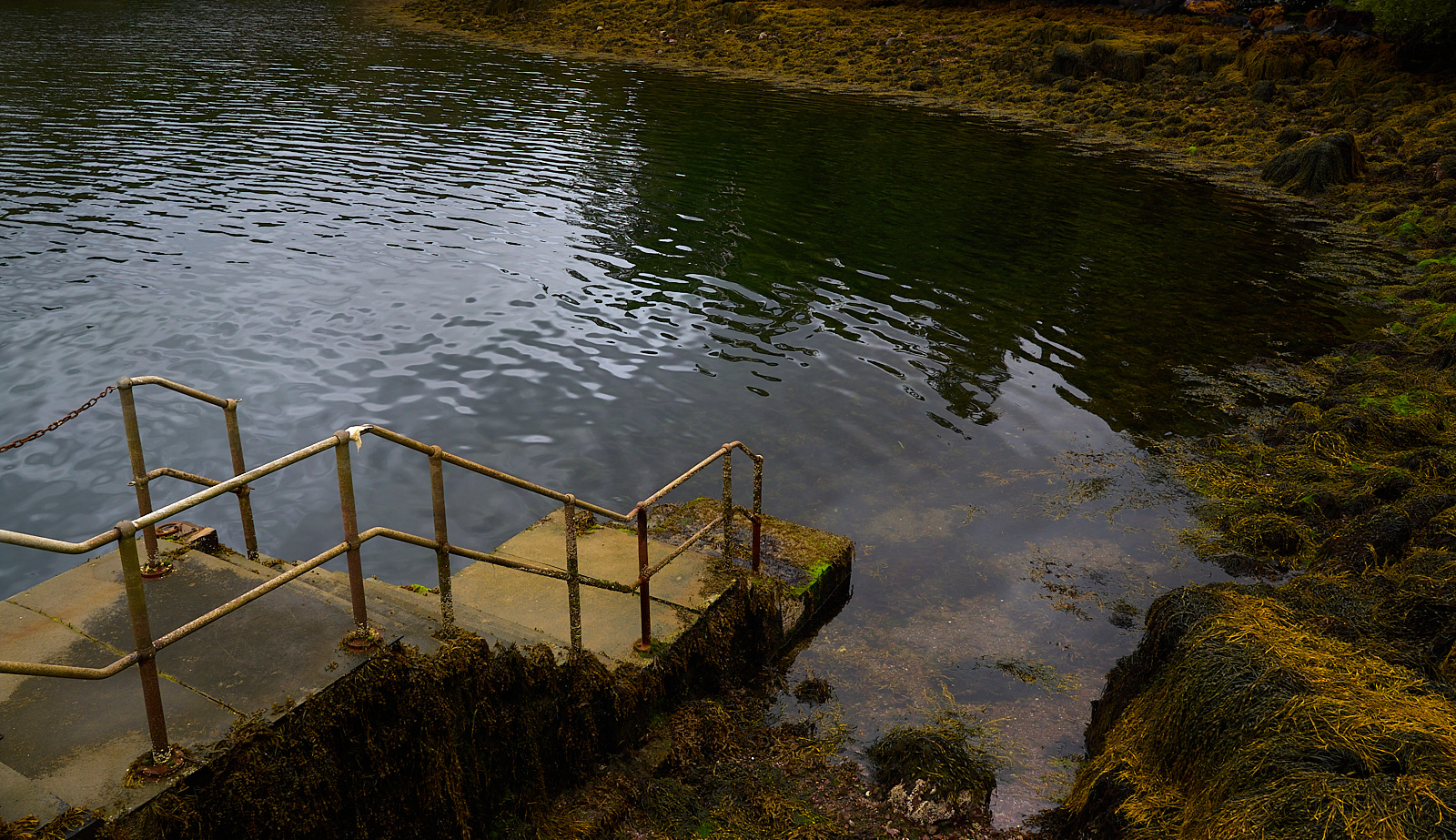  Inverewe Garden, Poolewe, West Coast 