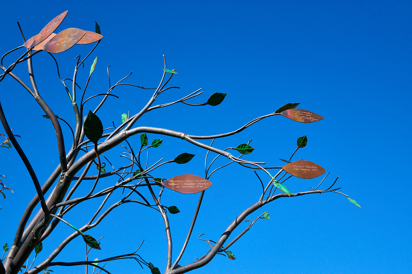  Inverness Botanical Garden 