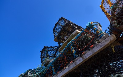  St. Abbs Harbour 