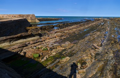  Cove Harbour 
