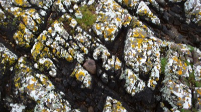  Stone at Culkein 