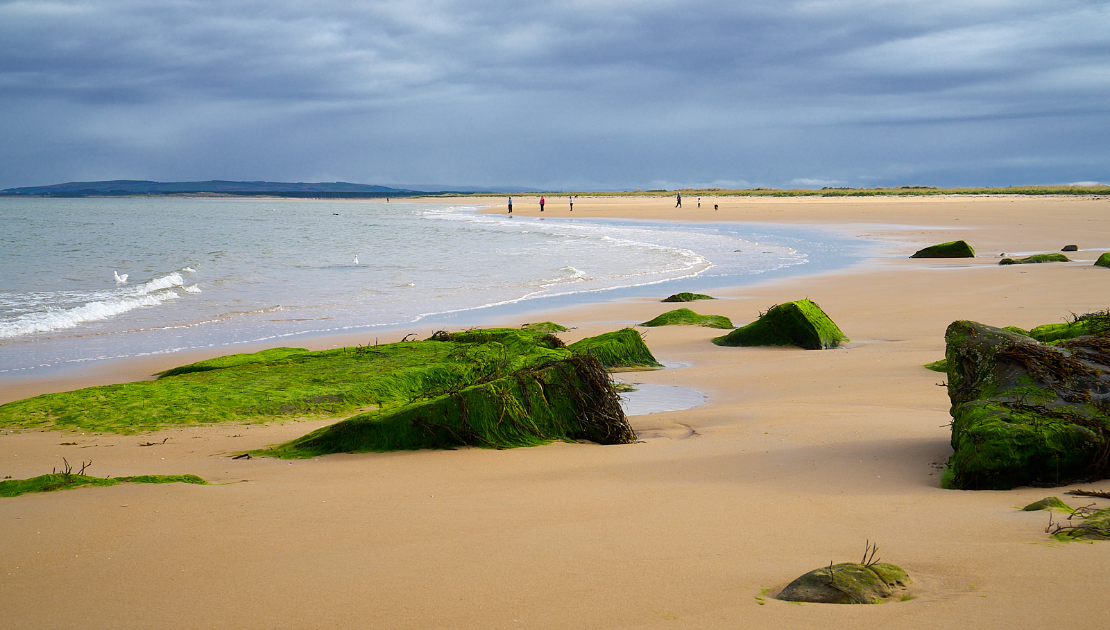  Dornoch Beach 