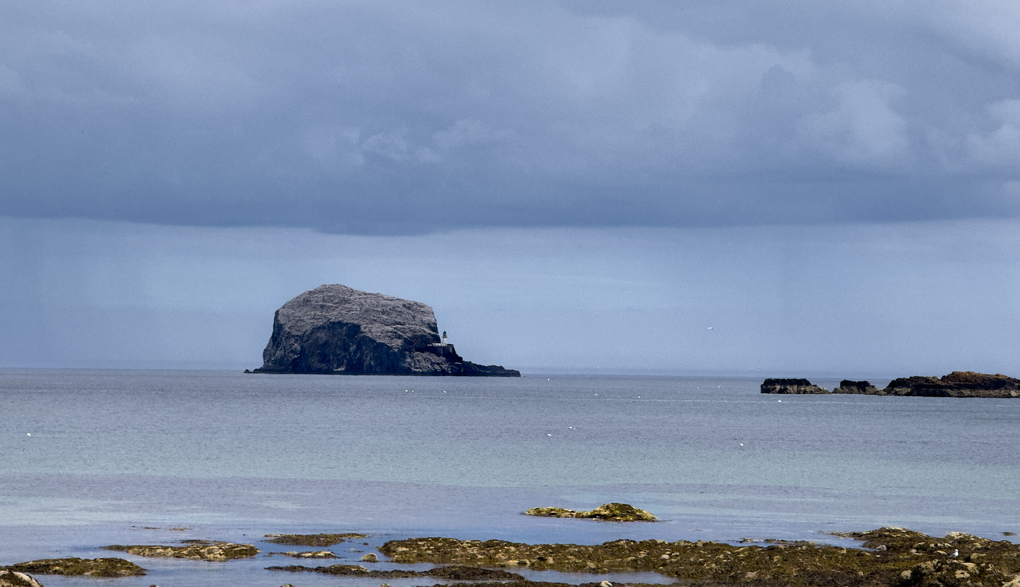  North Berwick - Bass Rock 