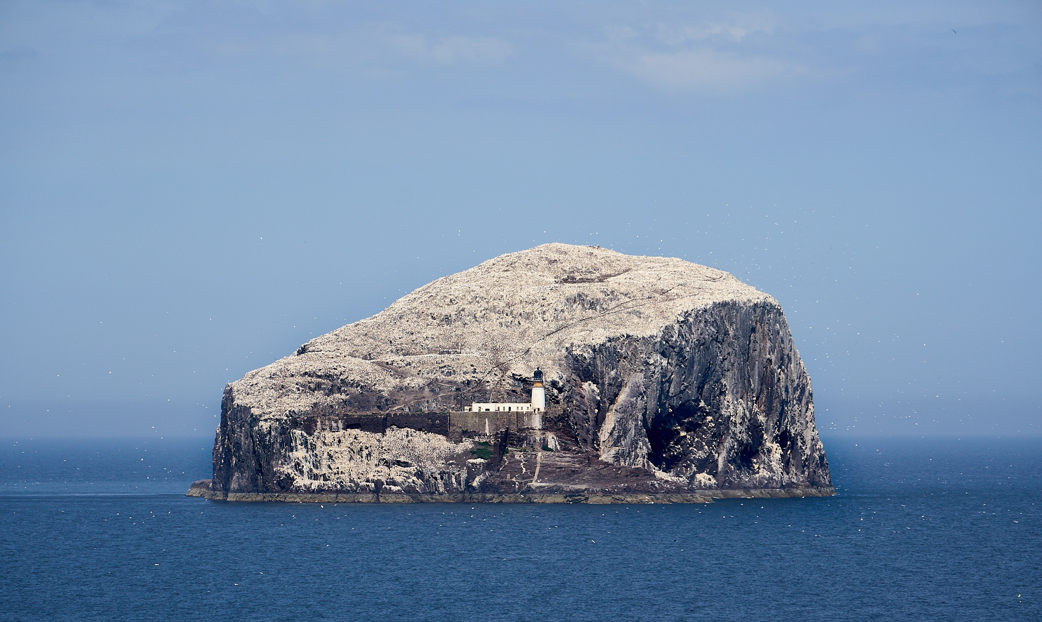  Bass Rock 
