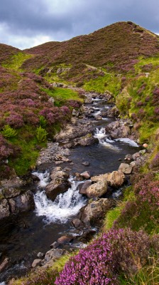  Grey Mare's Tail Waterfall, Dumfries and Galloway 