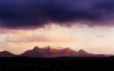  Ben Loyal 