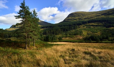  near Inverlochy, River Lochy 