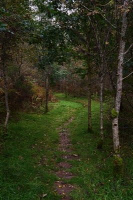  Near Kilmahog, Trosschs 