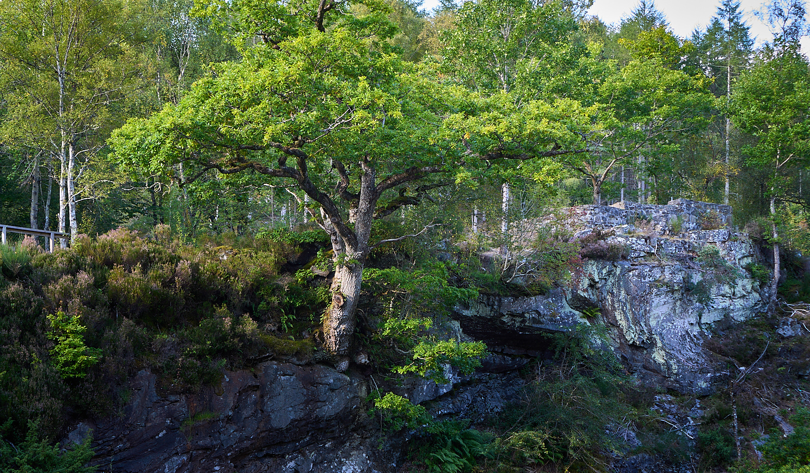  Rogie Falls, Black Water, Highlands 