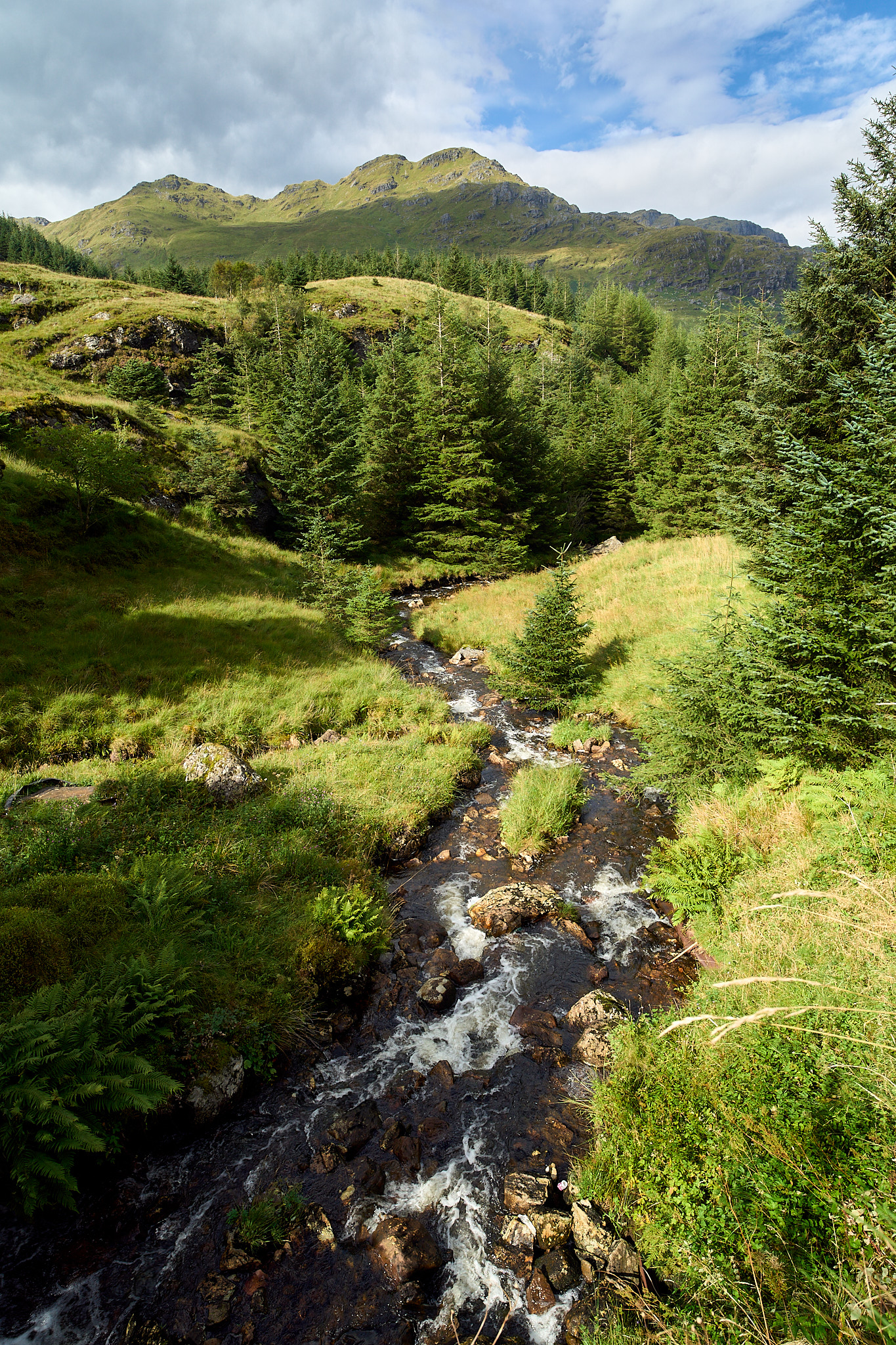  Small waterfall near Loch Restil and Butter Bridge 