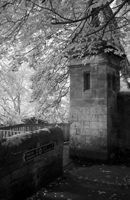  Water of Leith walkway, Edinburgh 