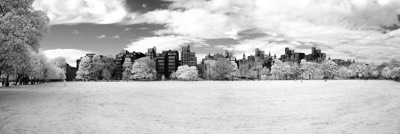  The Meadows 