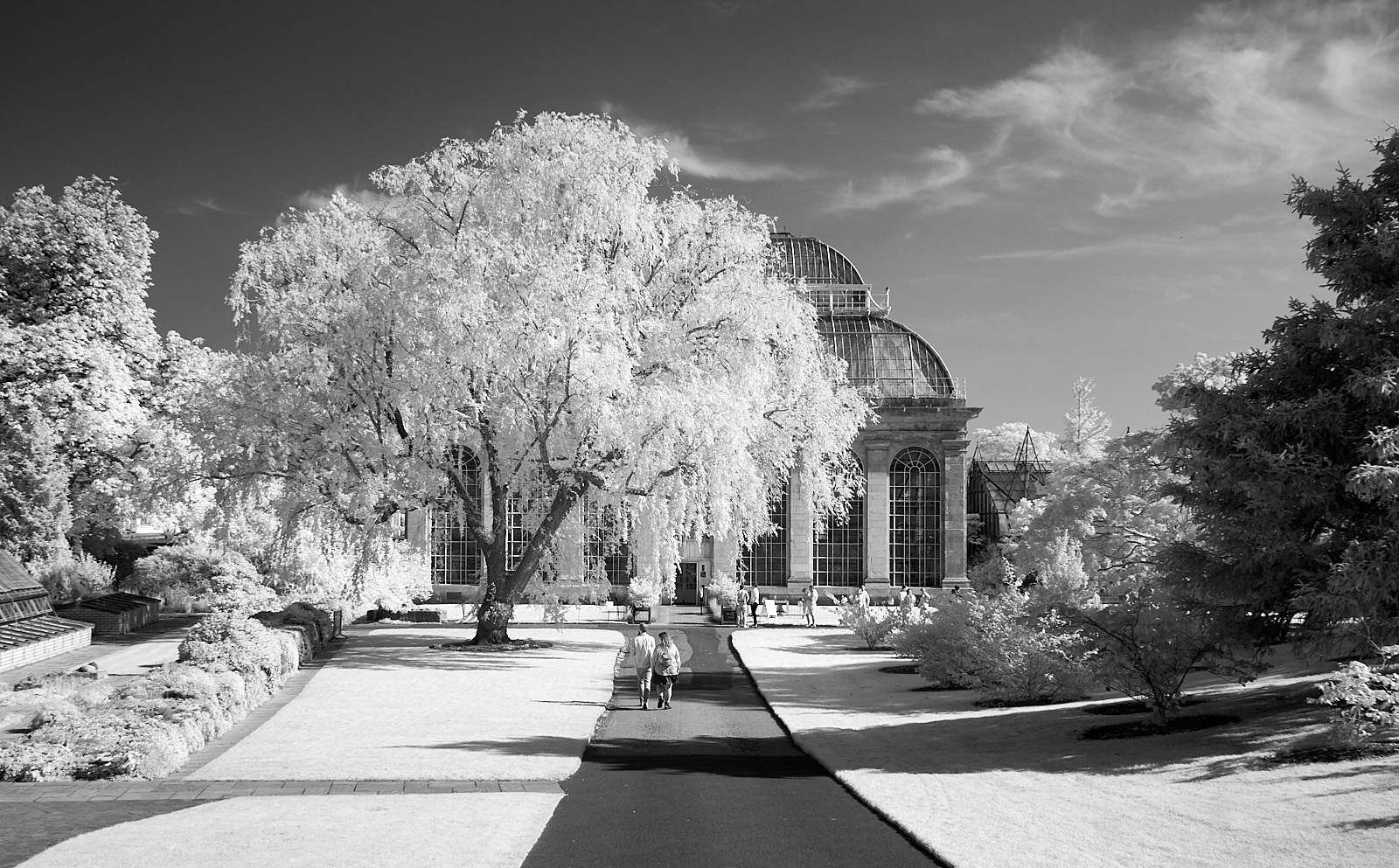  Glass House, Botanical Garden, Edinburgh 