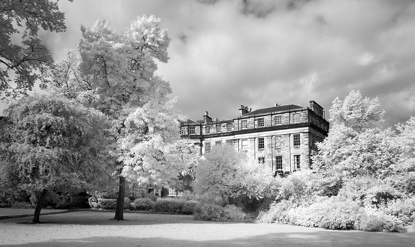  Moray Place, Garden, Edinburgh 