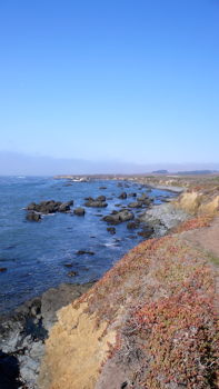 Stacks Image 8171