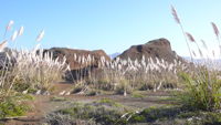 Stacks Image 8356