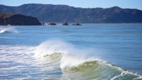 Stacks Image 8330