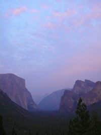 Stacks Image 8244