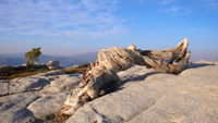 Stacks Image 8283