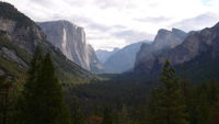 Stacks Image 8231