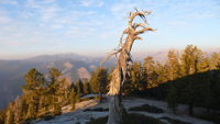 Stacks Image 8270