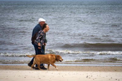  Walking the dog 