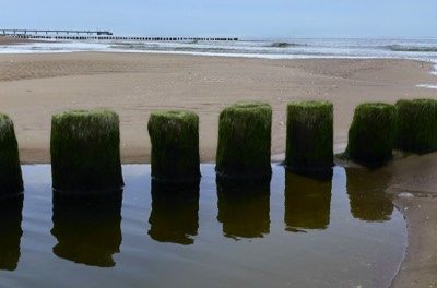  Piles and Pier 